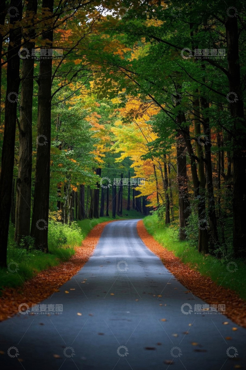 高清大图下载【趣麦麦图】秋季森林中的林间道路