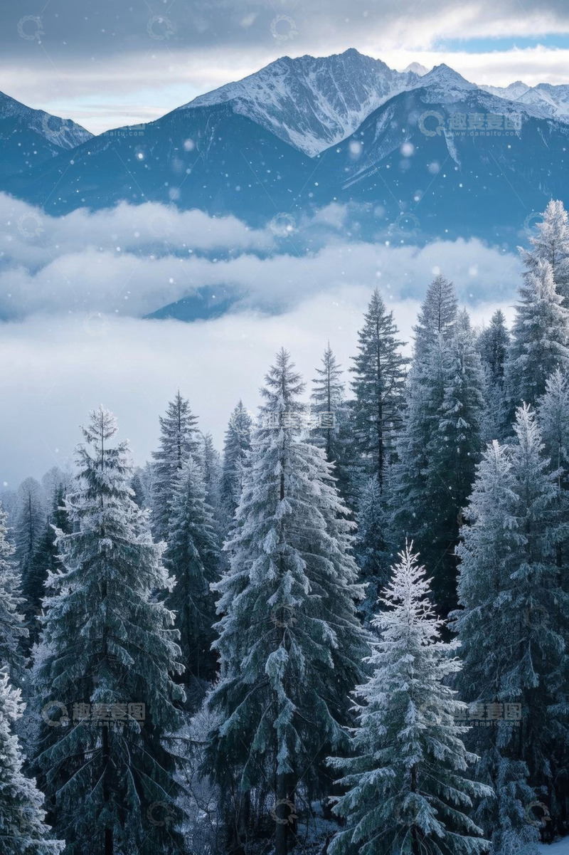 高清大图下载【趣麦麦图】雪山下覆盖着积雪的森林景观