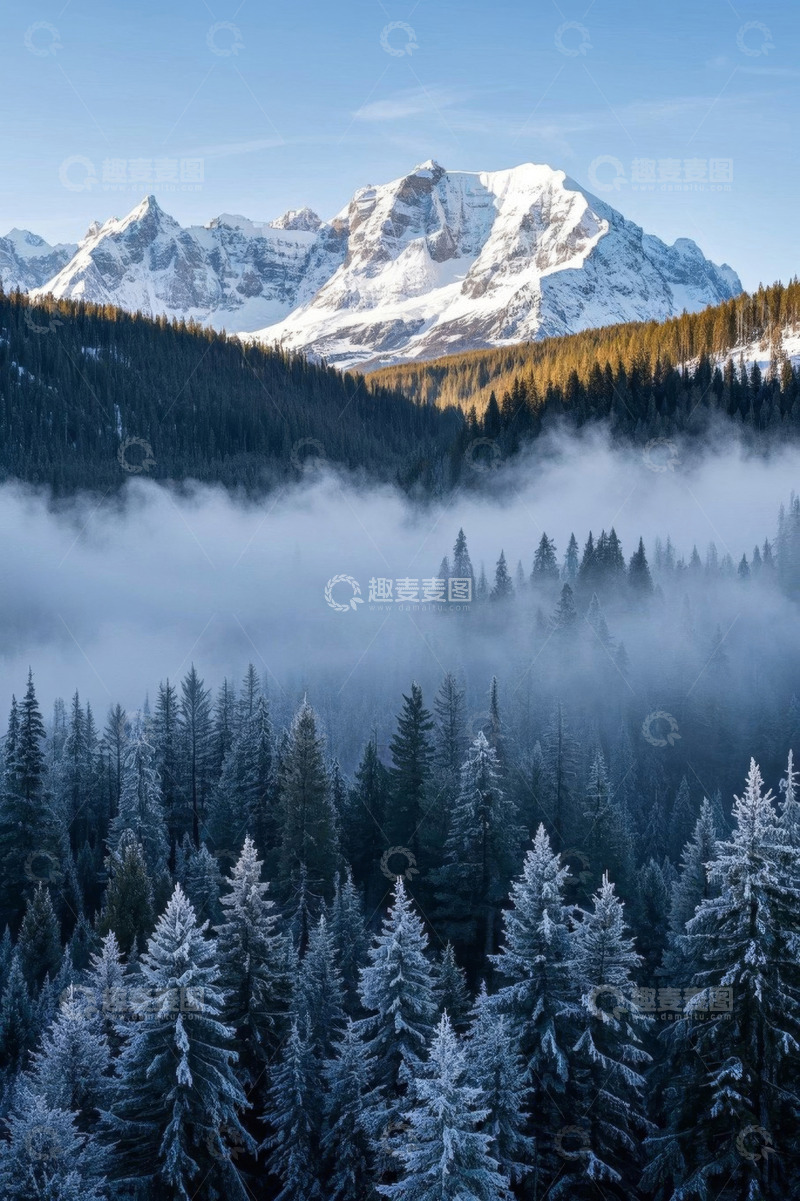 高清大图下载【趣麦麦图】雪山下的森林雾景