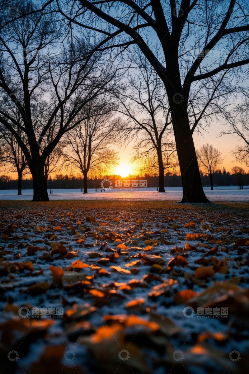 高清大图下载【趣麦麦图】公园雪地落叶与落日景象