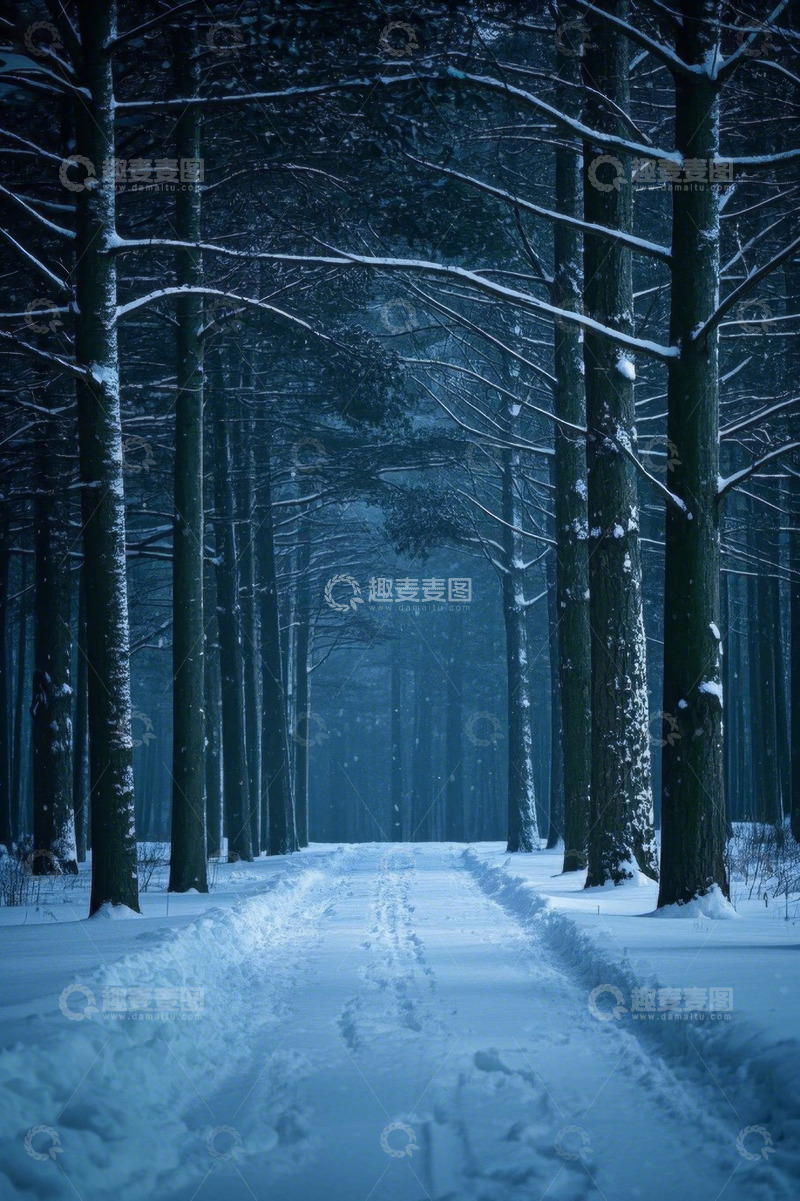 高清大图下载【趣麦麦图】雪后森林中的积雪道路