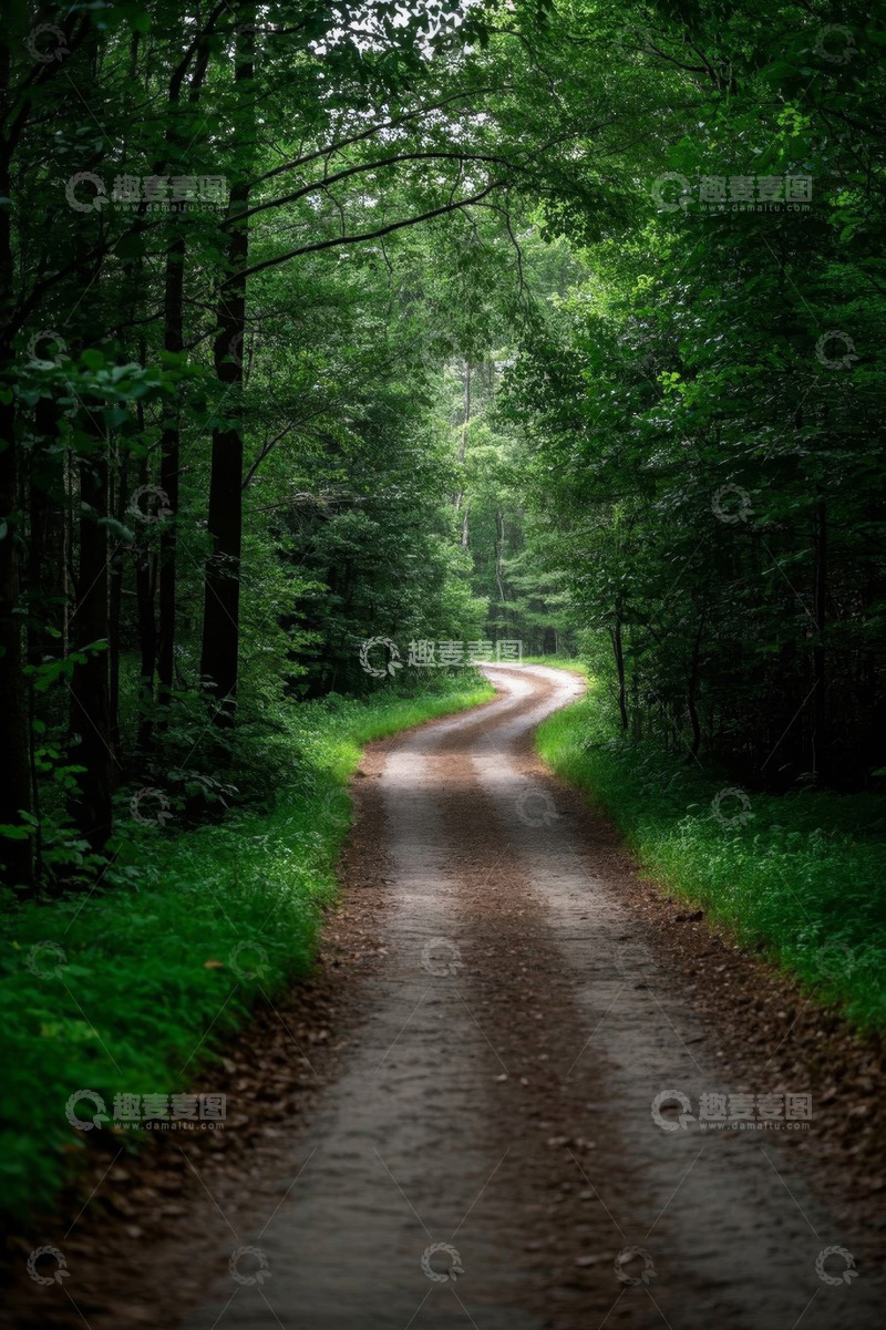 高清大图下载【趣麦麦图】森林中蜿蜒的泥土小路