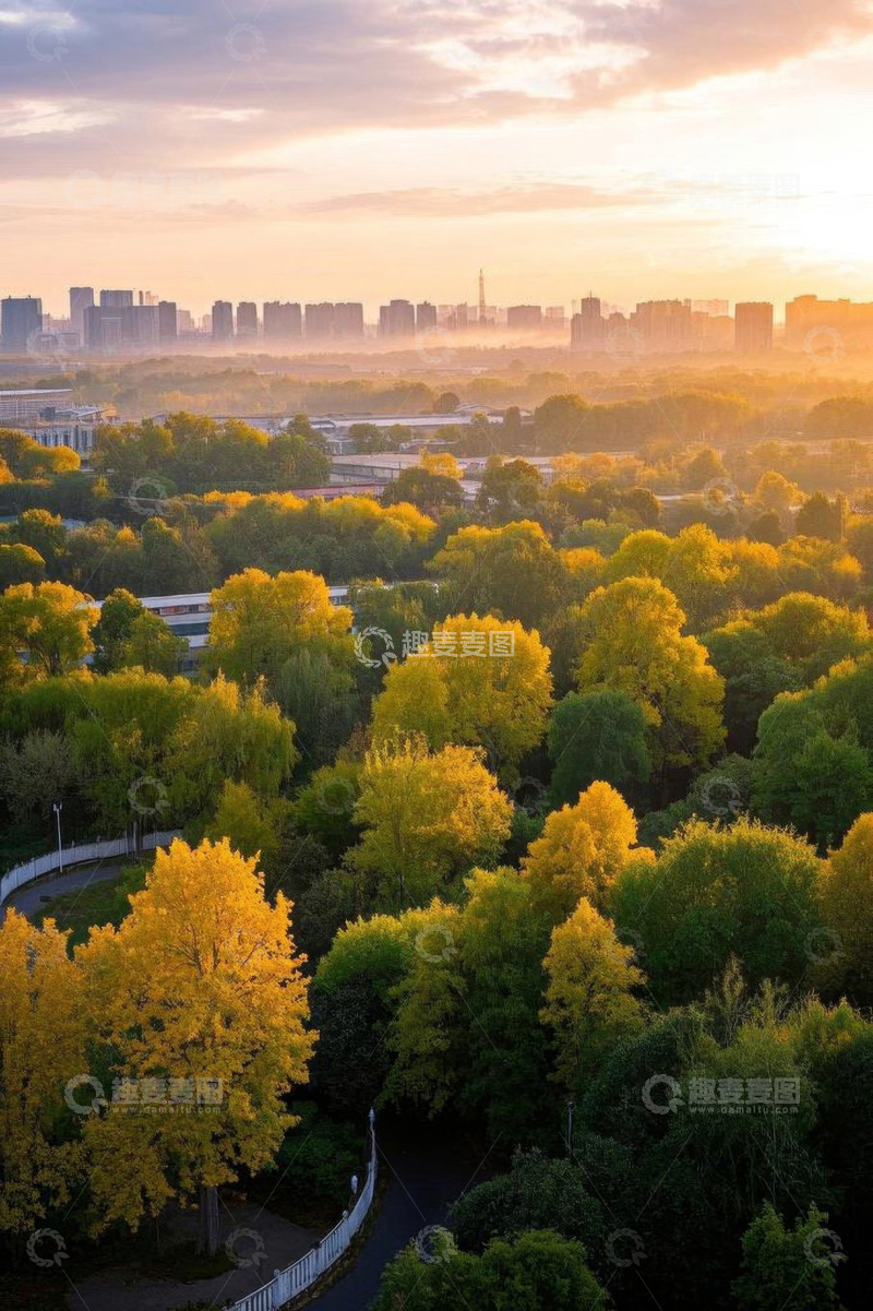 高清大图下载【趣麦麦图】城市森林日出全景