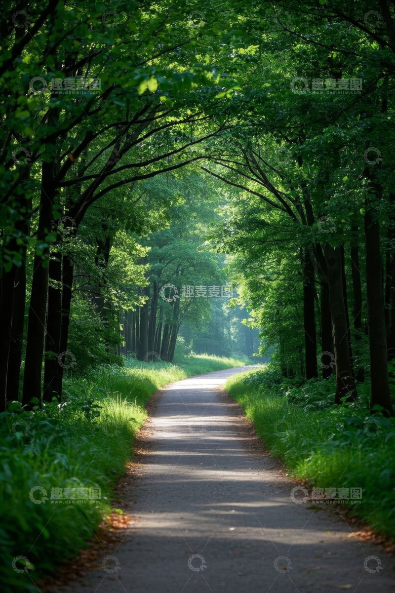 高清大图下载【趣麦麦图】林间小道自然风景