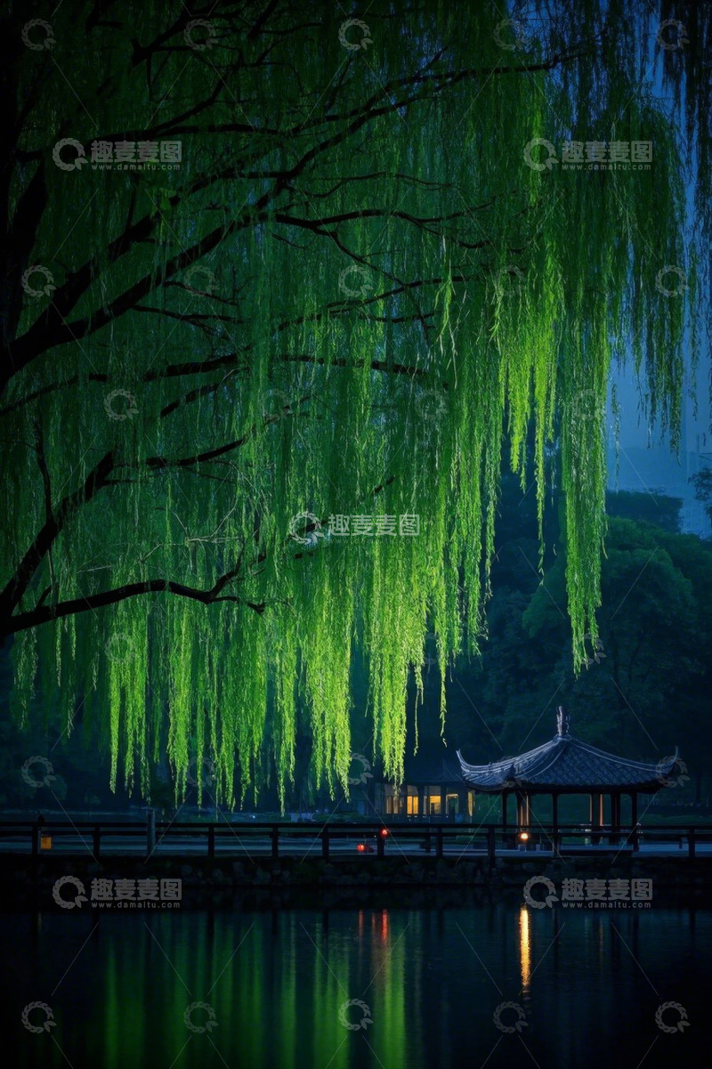 高清大图下载【趣麦麦图】湖畔垂柳与古风亭夜景