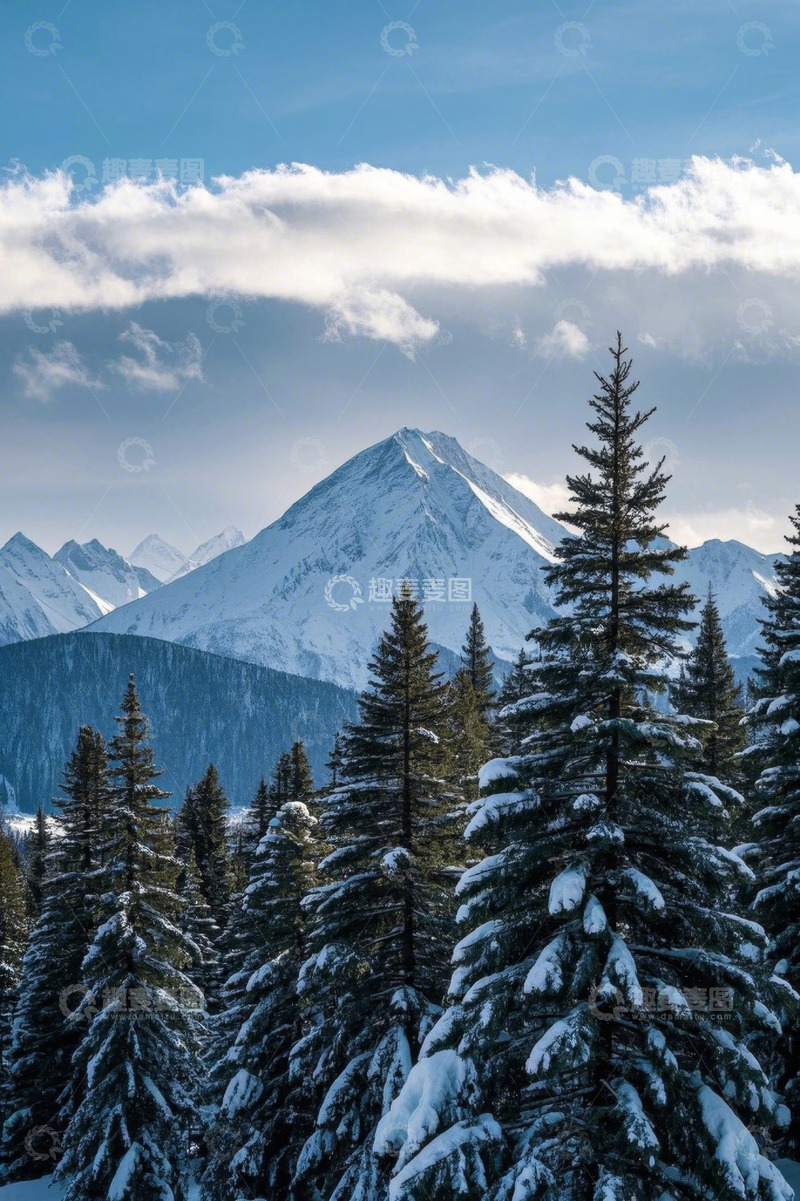高清大图下载【趣麦麦图】雪山下的森林雪景风光