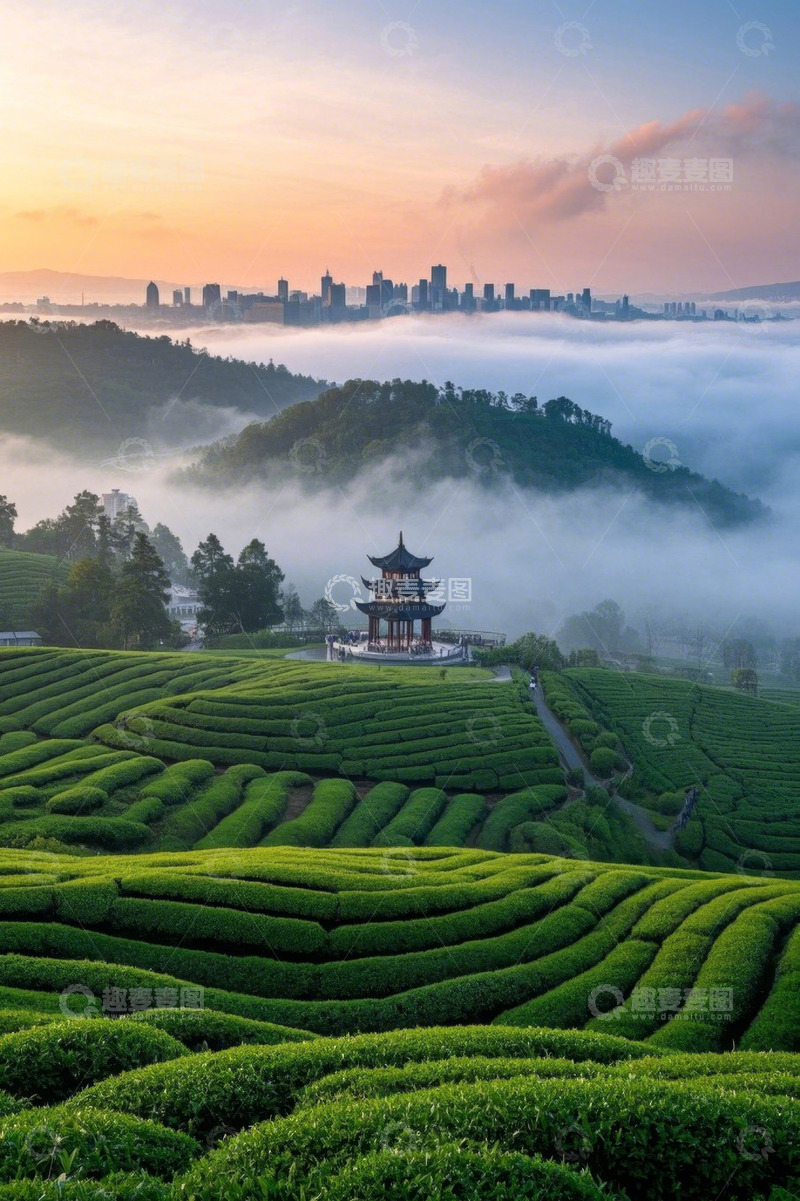 高清大图下载【趣麦麦图】茶园与城市风光全景