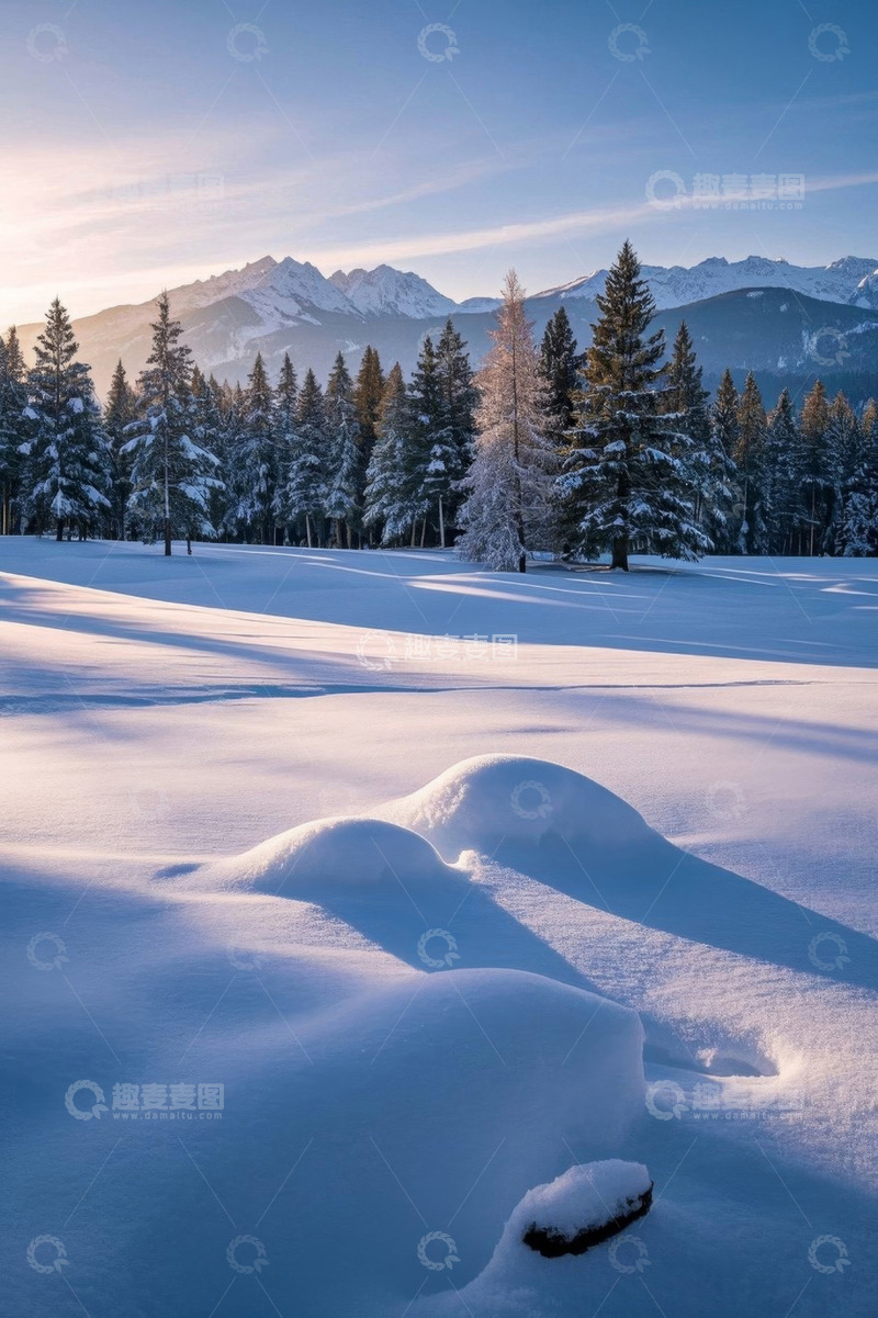 高清大图下载【趣麦麦图】冬日雪覆森林与远山景致