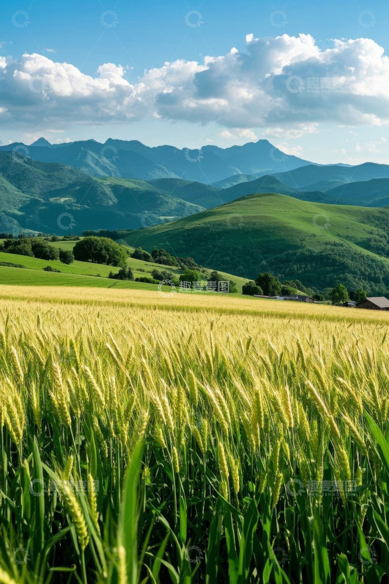 高清大图下载【趣麦麦图】田野间的小麦与远山风景