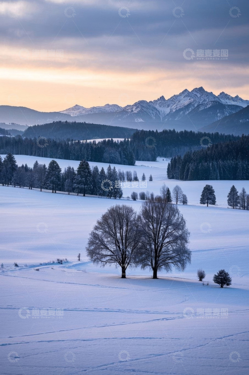 高清大图下载【趣麦麦图】雪后山林与远处雪山风景