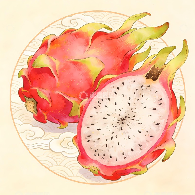 高清大图下载【趣麦麦图】火龙果插图图片