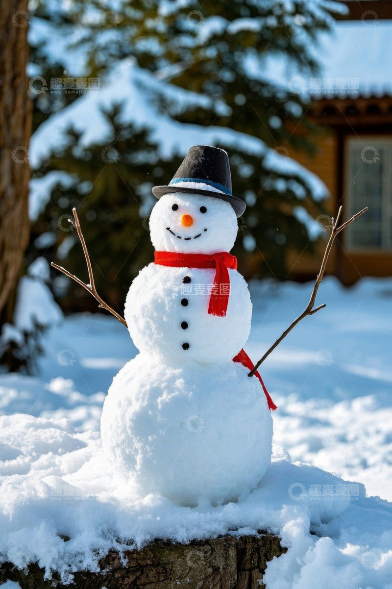 高清大图下载【趣麦麦图】户外雪地上的可爱雪人