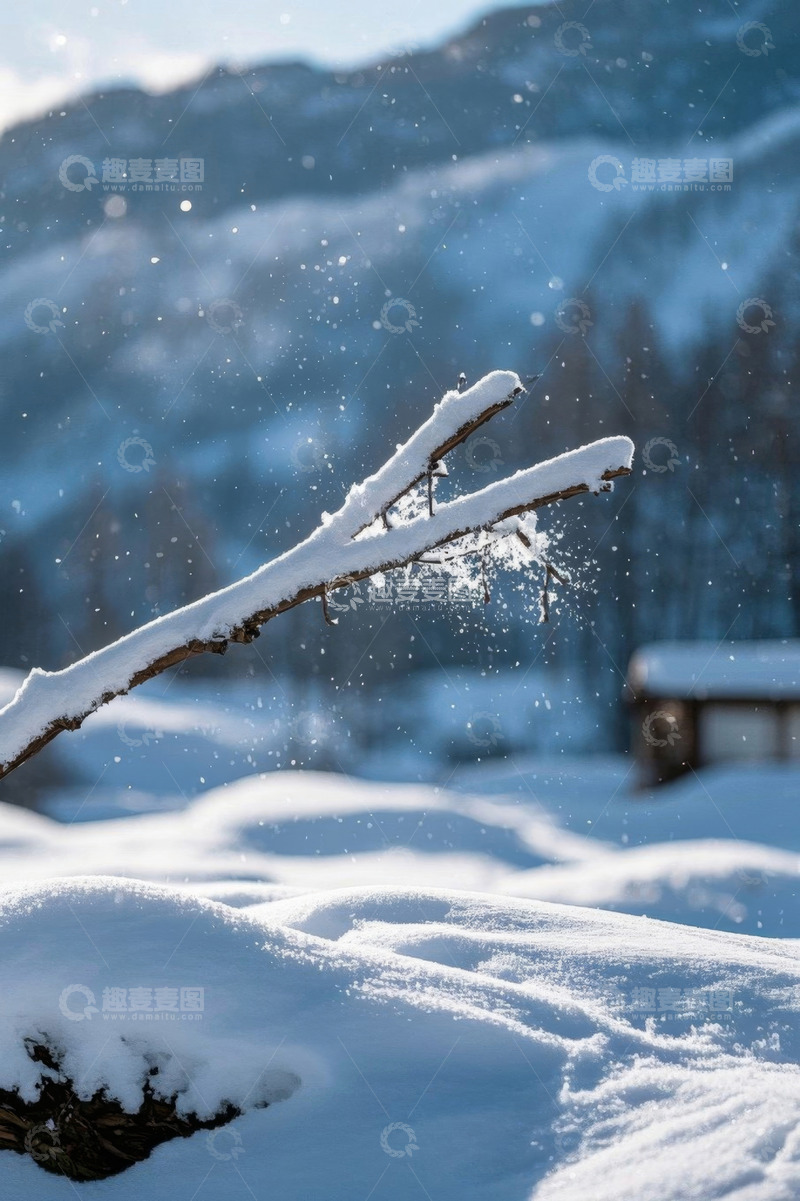 高清大图下载【趣麦麦图】雪覆树枝的户外冬日景象