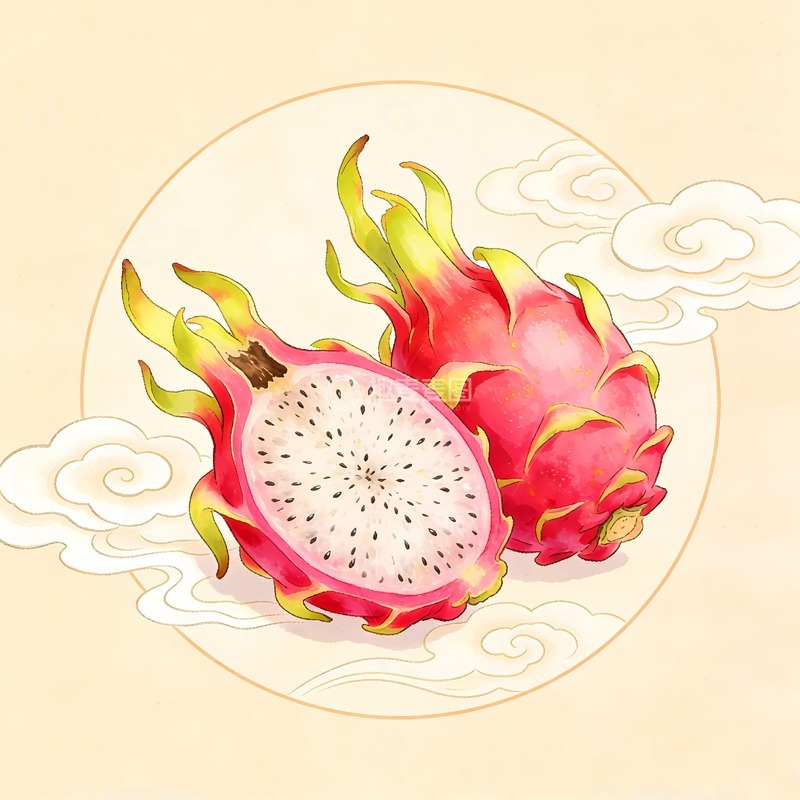 高清大图下载【趣麦麦图】火龙果绘画图片
