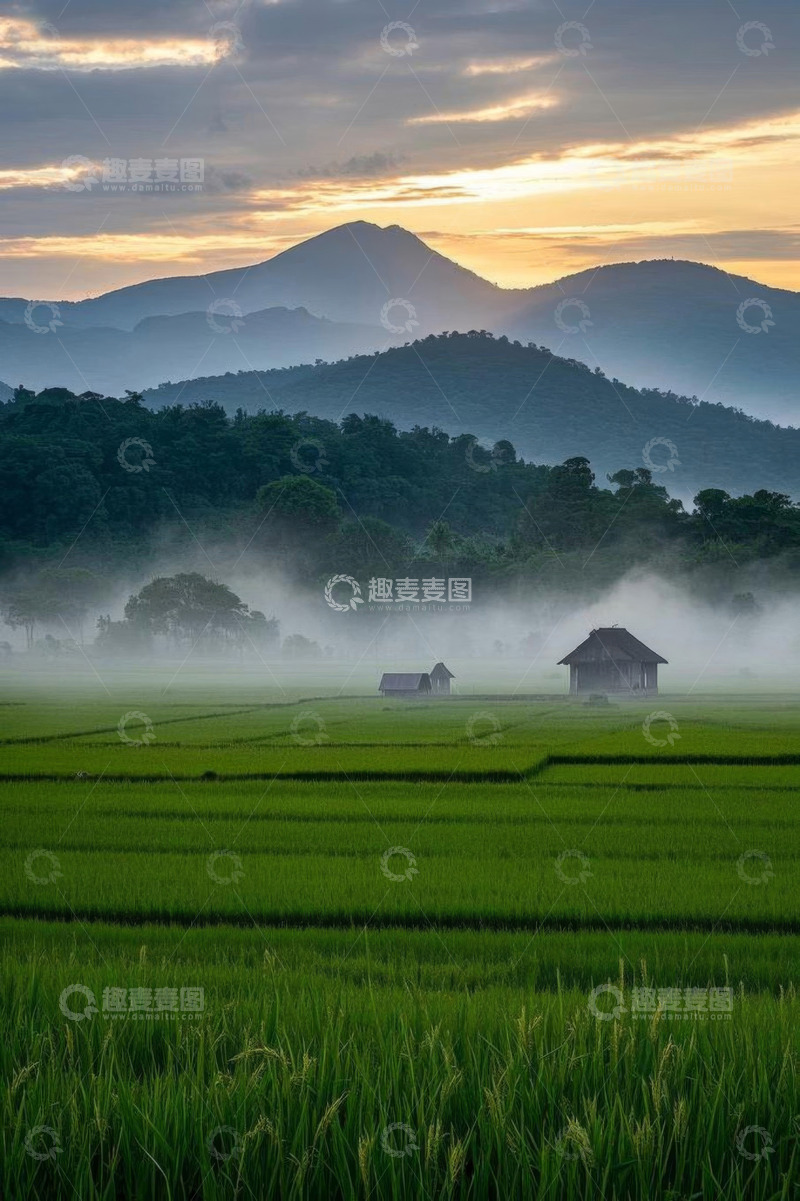 高清大图下载【趣麦麦图】田园稻田与远山晨景