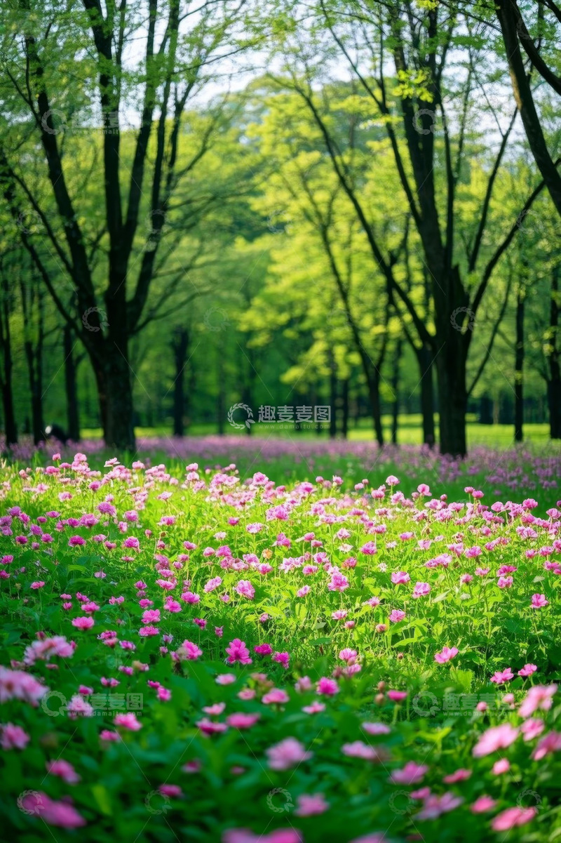 高清大图下载【趣麦麦图】春日繁花树林风景