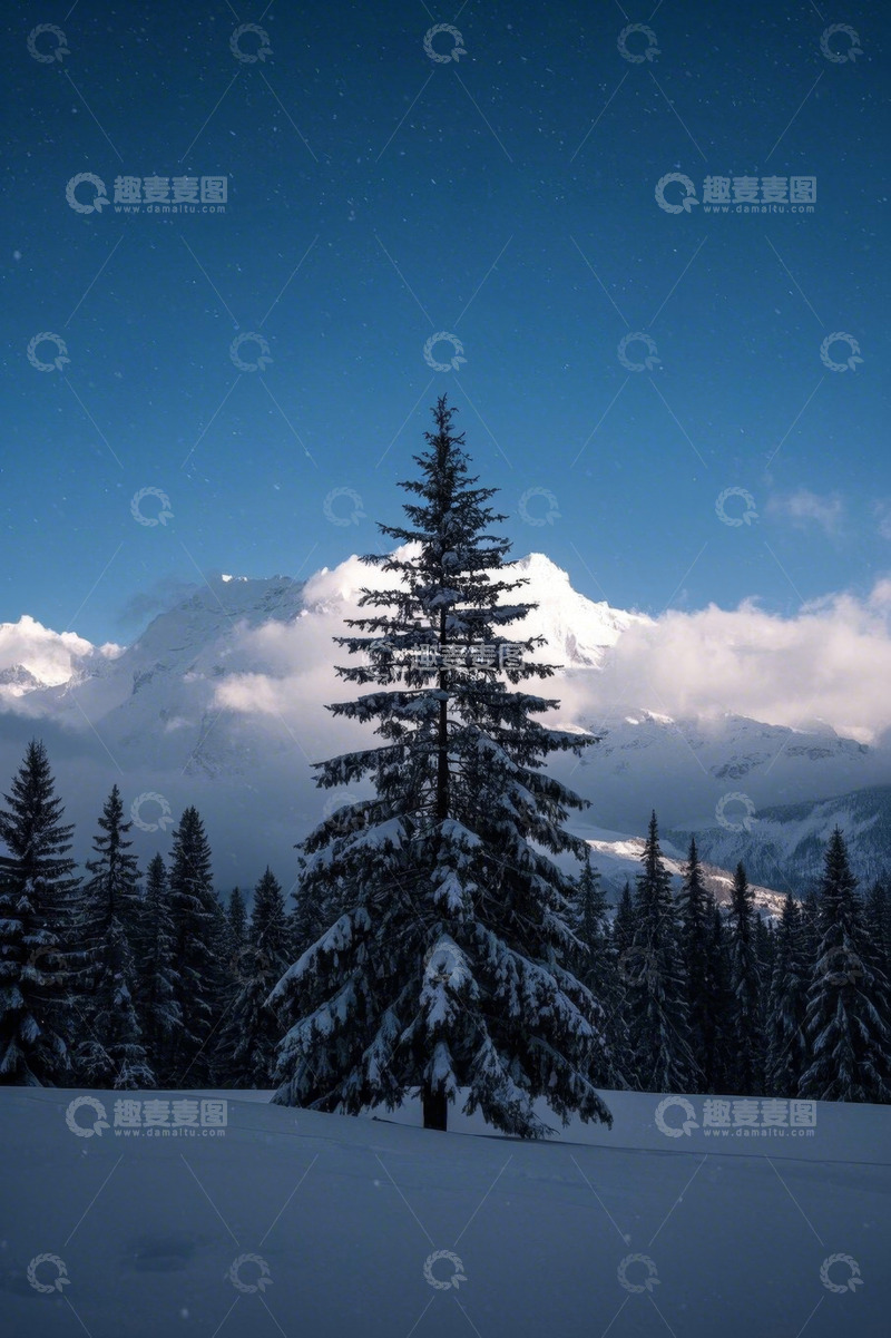 高清大图下载【趣麦麦图】雪山下的雪林与夜空景观