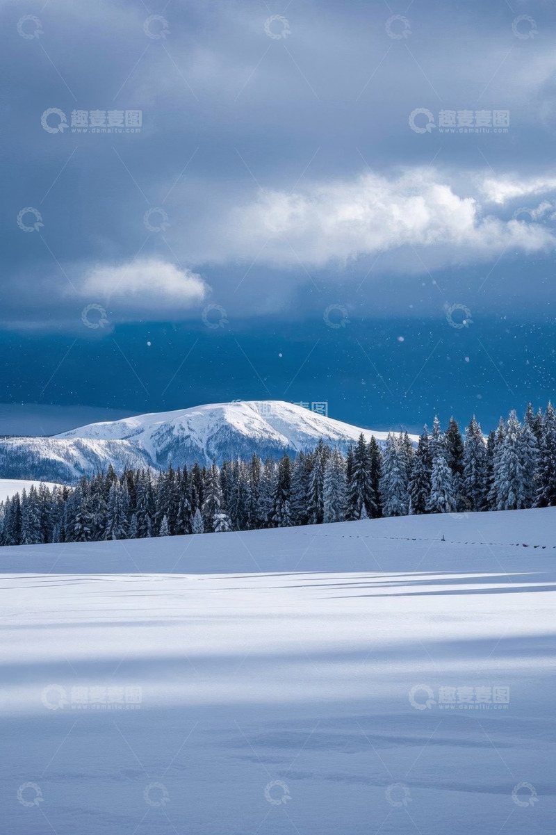 高清大图下载【趣麦麦图】雪覆森林与远山风景