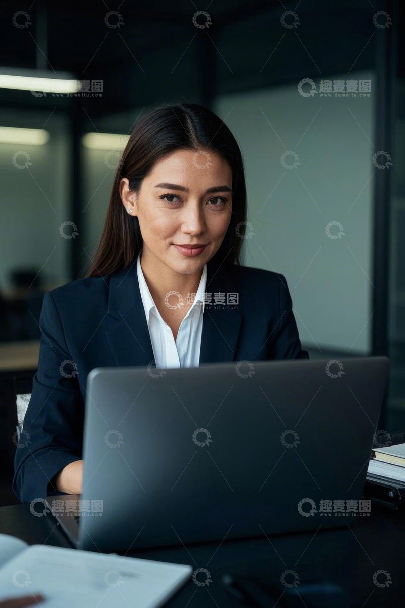 高清大图下载【趣麦麦图】女商人办公使用笔记本电脑