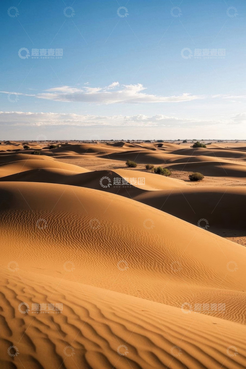 高清大图下载【趣麦麦图】广袤沙漠中的沙丘风光