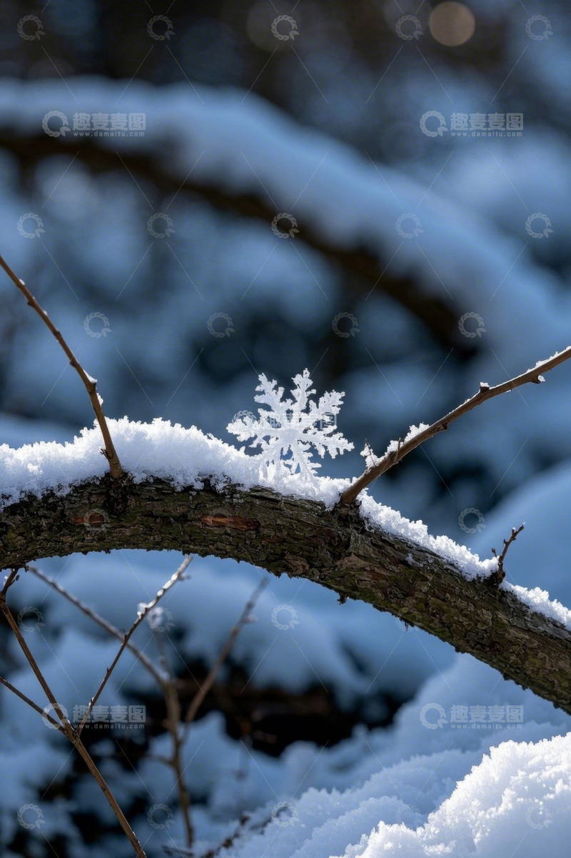 高清大图下载【趣麦麦图】树枝上的雪花特写