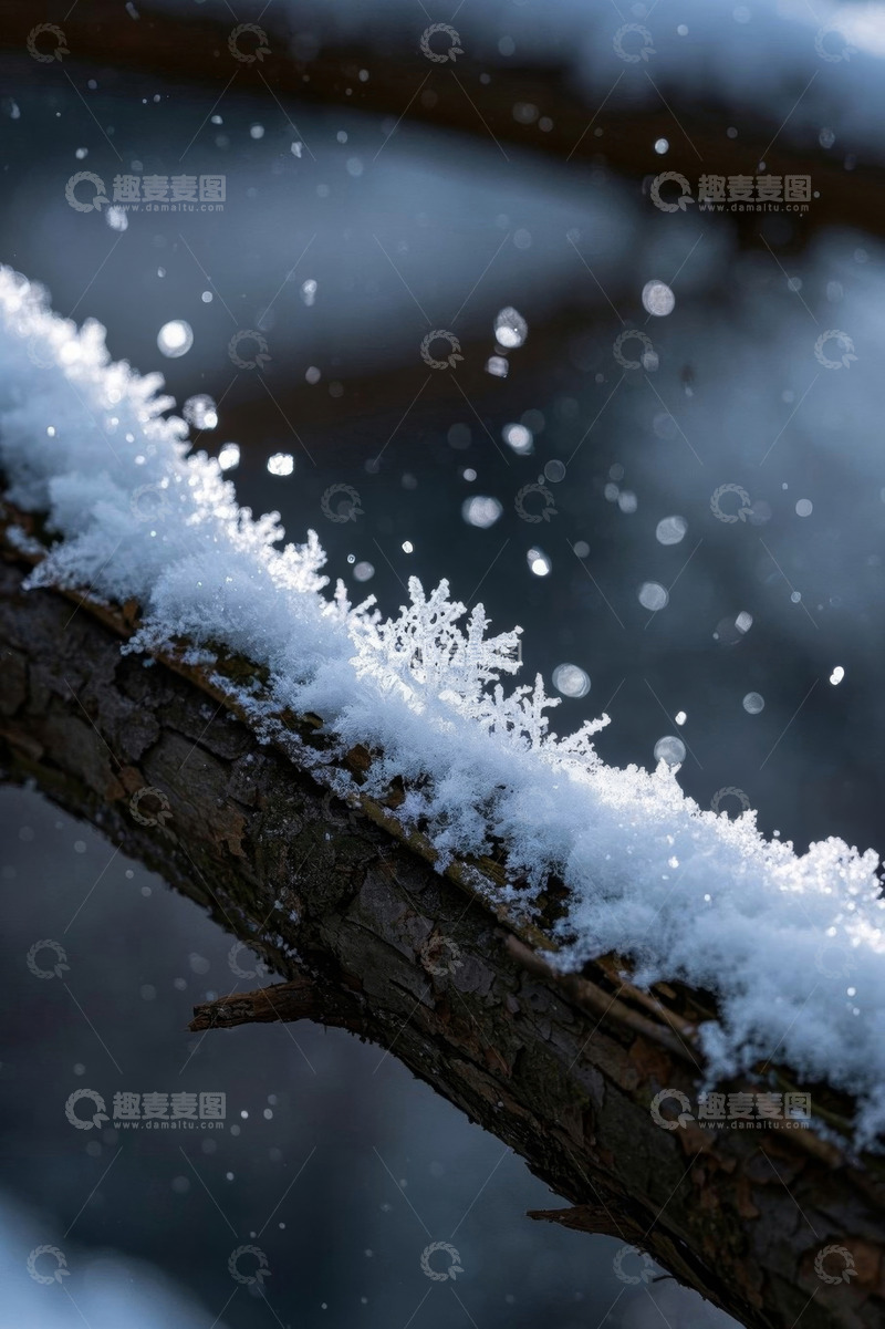 高清大图下载【趣麦麦图】覆雪树枝与飘落雪花特写