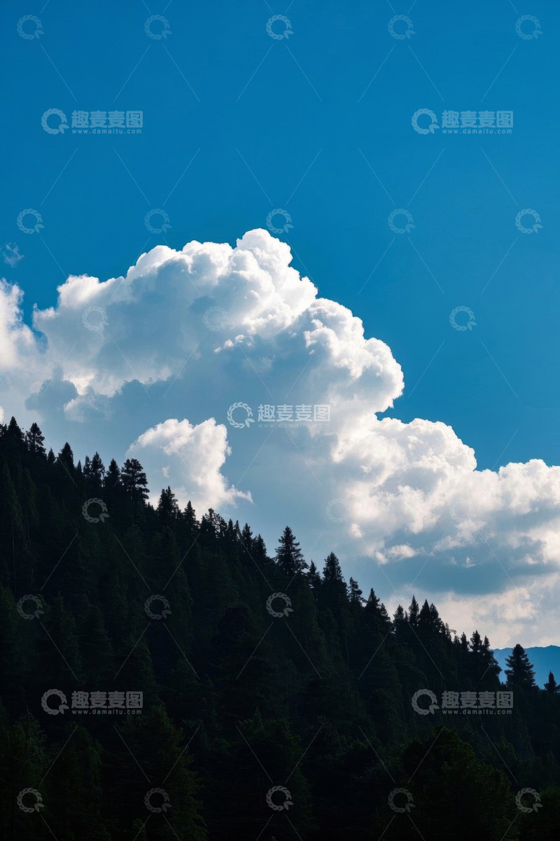 高清大图下载【趣麦麦图】森林上方的蓝天白云景象