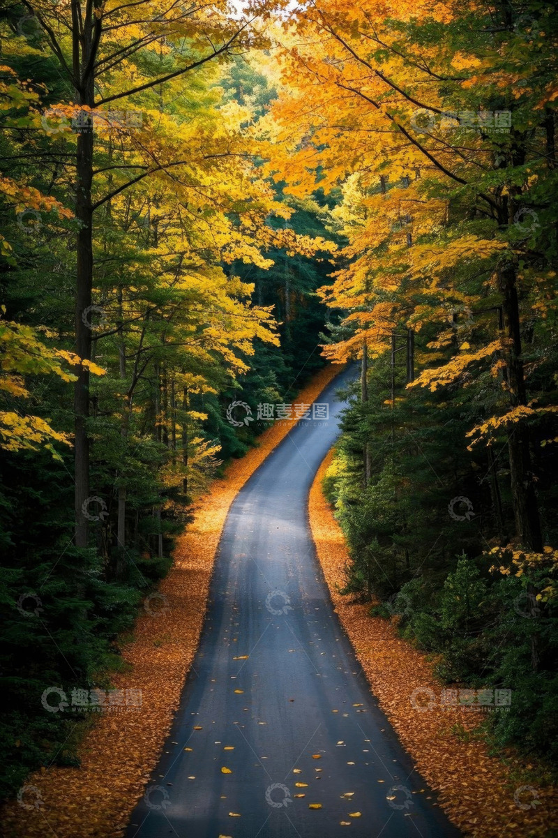 高清大图下载【趣麦麦图】秋日森林中的蜿蜒公路