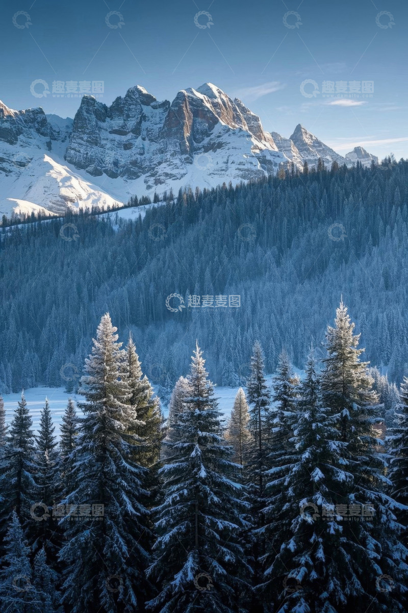 高清大图下载【趣麦麦图】雪山下的森林冬日景象