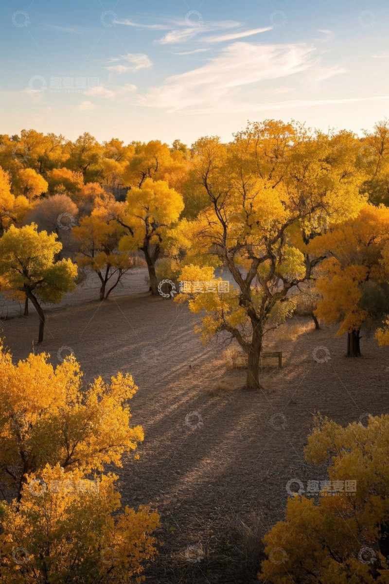 高清大图下载【趣麦麦图】秋日胡杨林自然风光