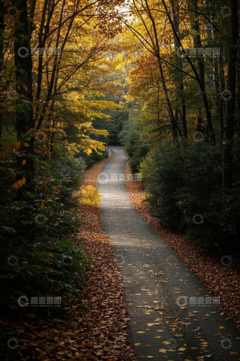 高清大图下载【趣麦麦图】秋日森林中的幽静小路