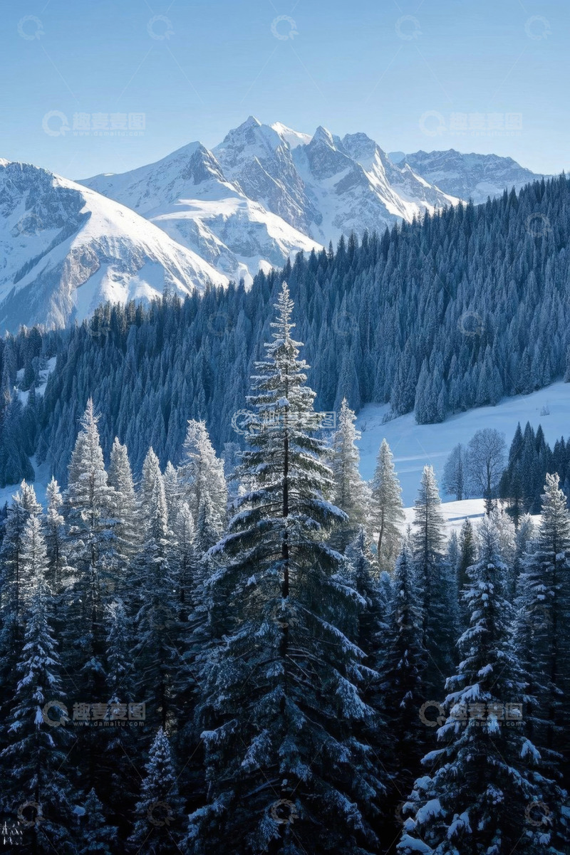 高清大图下载【趣麦麦图】雪山下的森林雪景风光