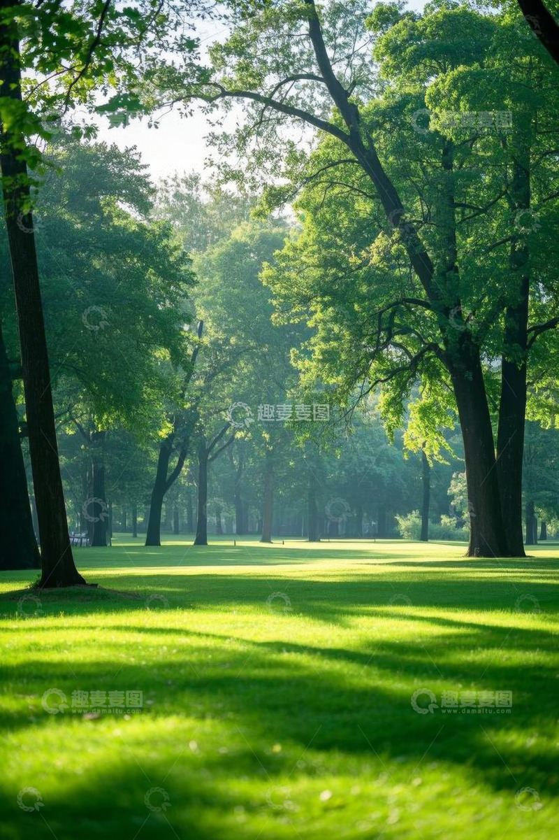 高清大图下载【趣麦麦图】阳光照耀下的森林绿地