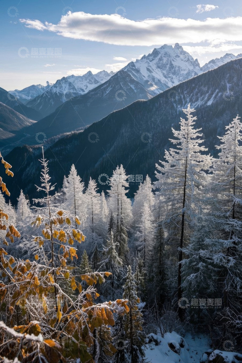 高清大图下载【趣麦麦图】雪山下覆盖着积雪的森林景观