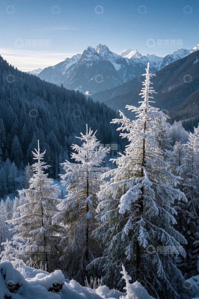 高清大图下载【趣麦麦图】雪覆山林与远处雪山景观