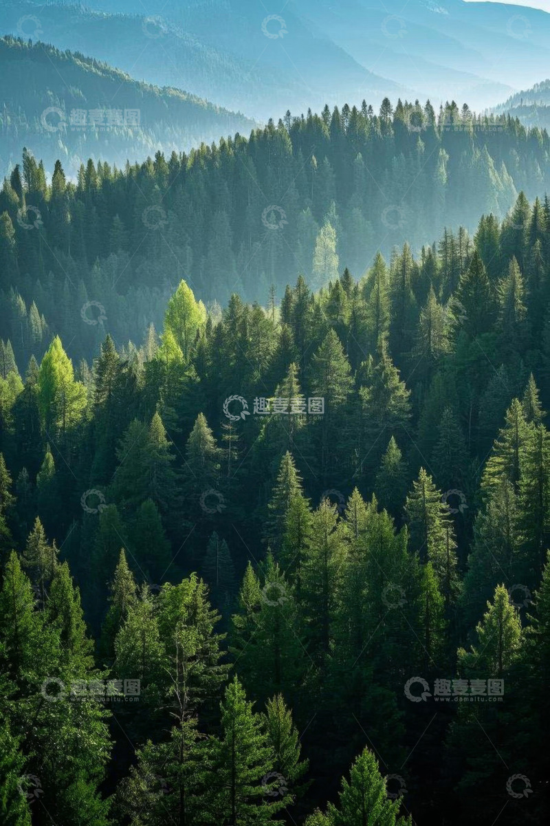 高清大图下载【趣麦麦图】山林间茂密森林全景