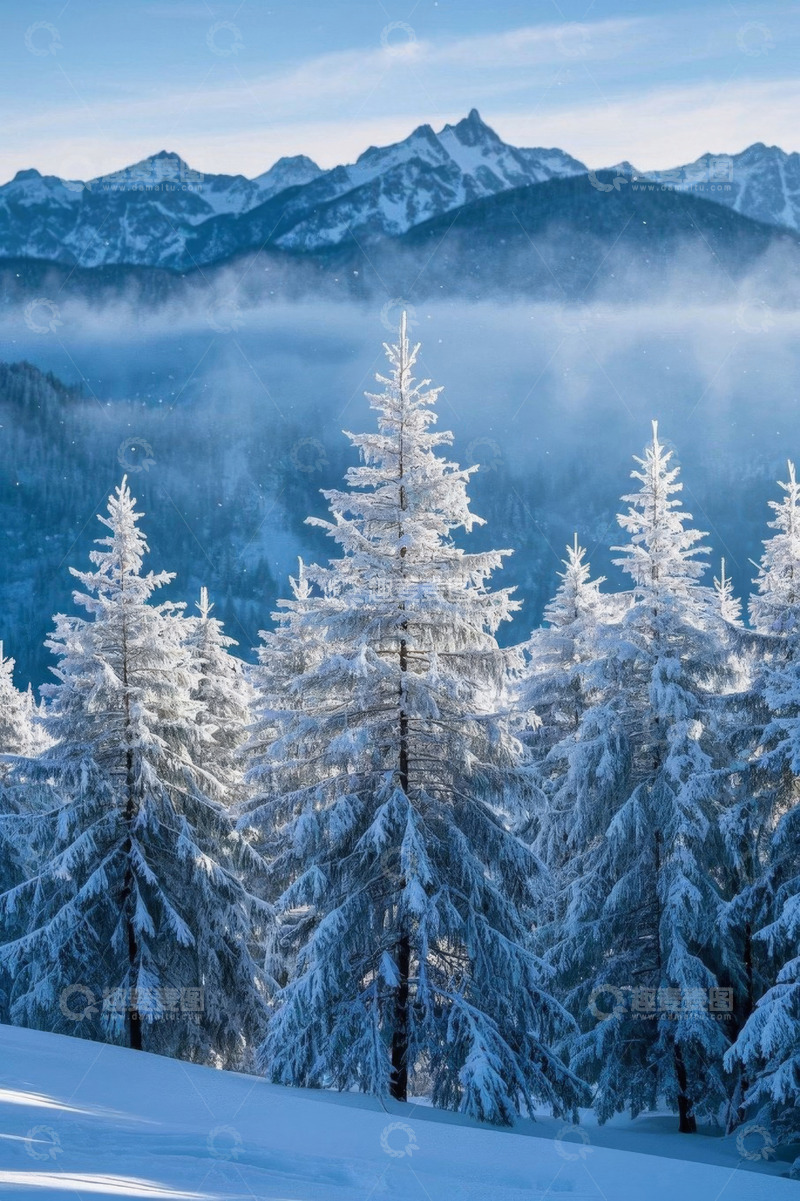 高清大图下载【趣麦麦图】雪覆山林与远山景观