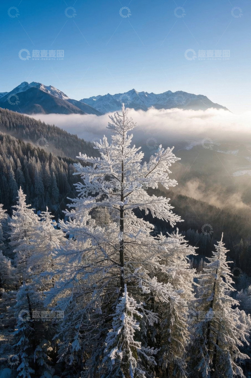 高清大图下载【趣麦麦图】雪覆山林与远山风光