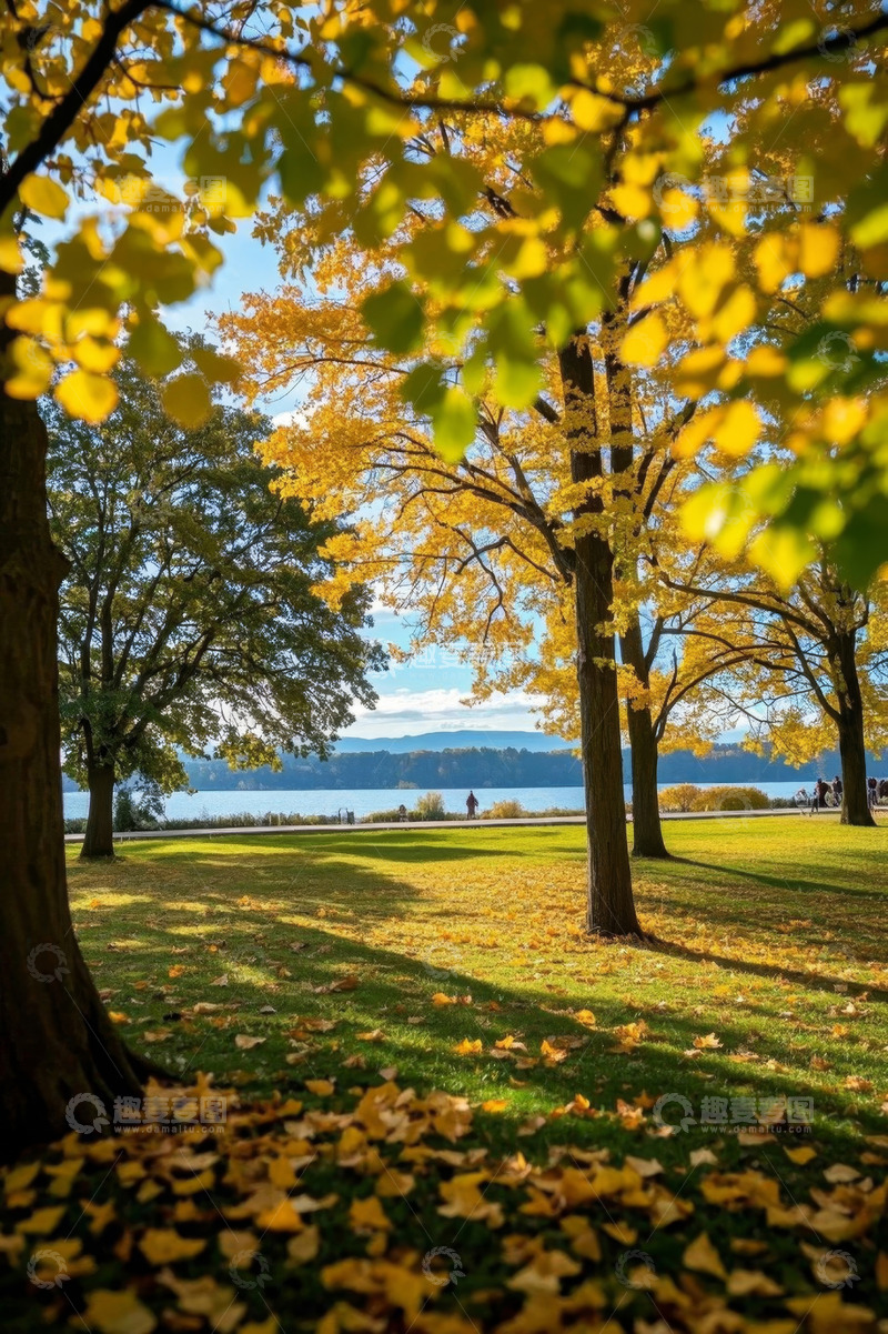 高清大图下载【趣麦麦图】秋日公园湖畔树林风景