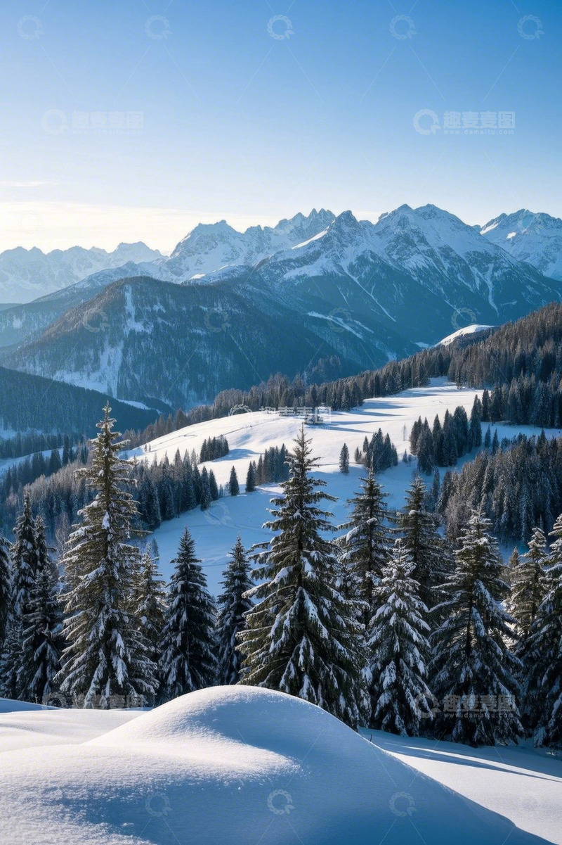 高清大图下载【趣麦麦图】冬日雪山下的森林景观