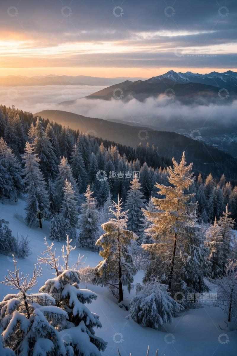 高清大图下载【趣麦麦图】雪覆山林与远山云海景观