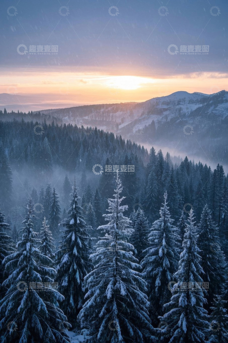 高清大图下载【趣麦麦图】雪后森林日出自然风光