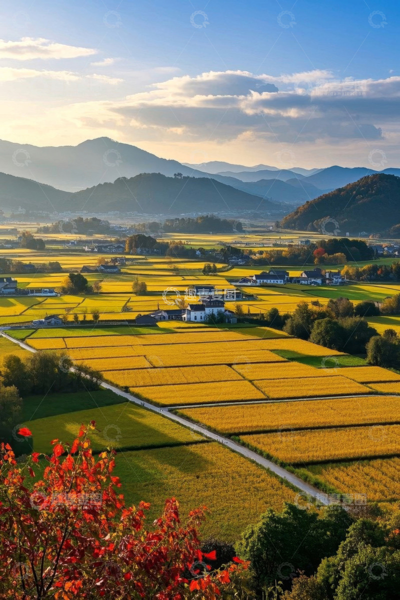 高清大图下载【趣麦麦图】乡村田野稻田风光全景