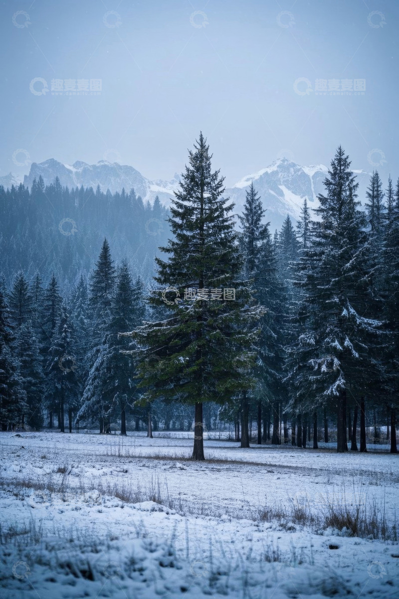 高清大图下载【趣麦麦图】雪后森林与远处雪山景观