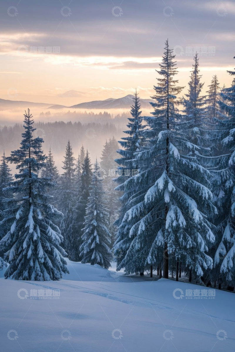 高清大图下载【趣麦麦图】雪覆盖的森林与远山景观