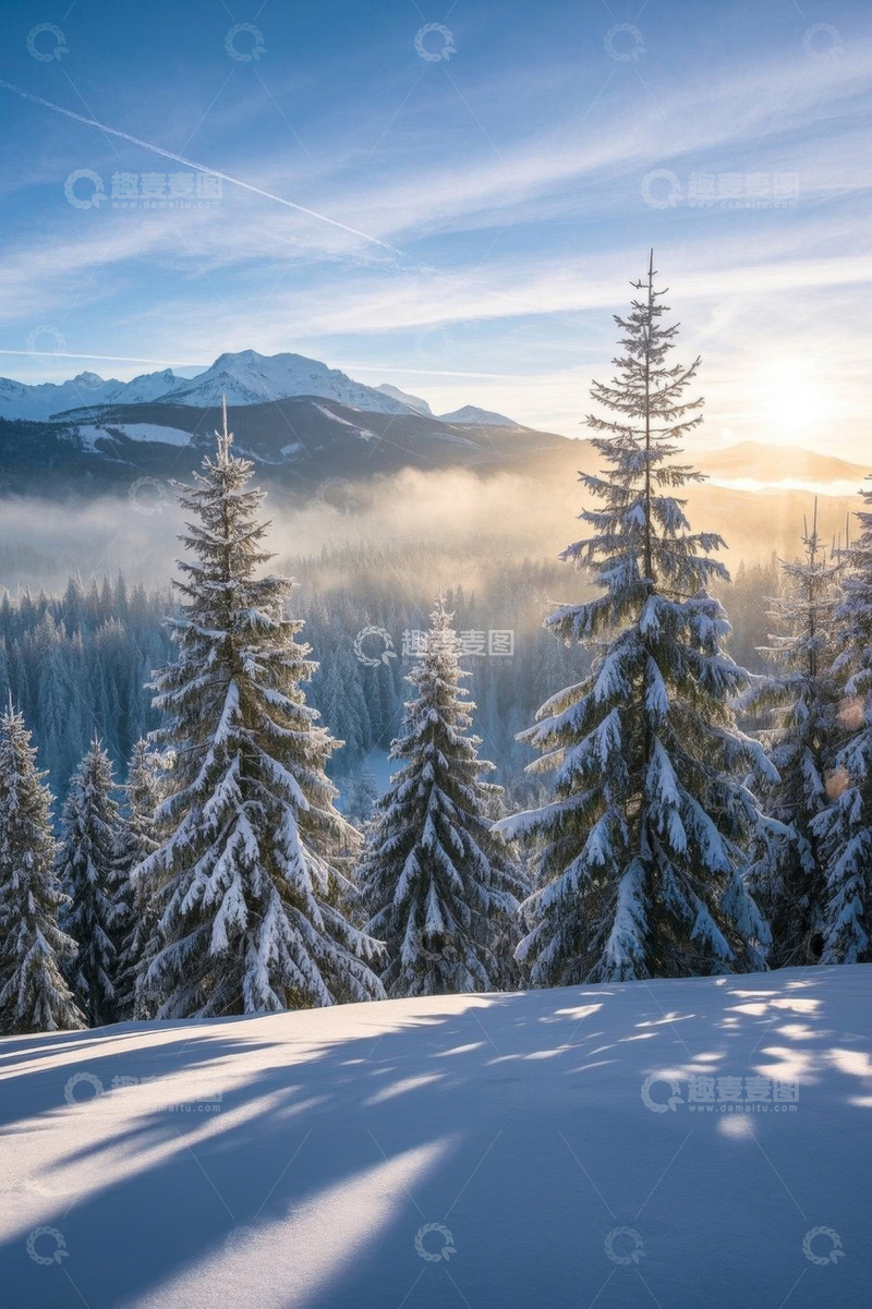 高清大图下载【趣麦麦图】雪山下覆盖积雪的森林景观