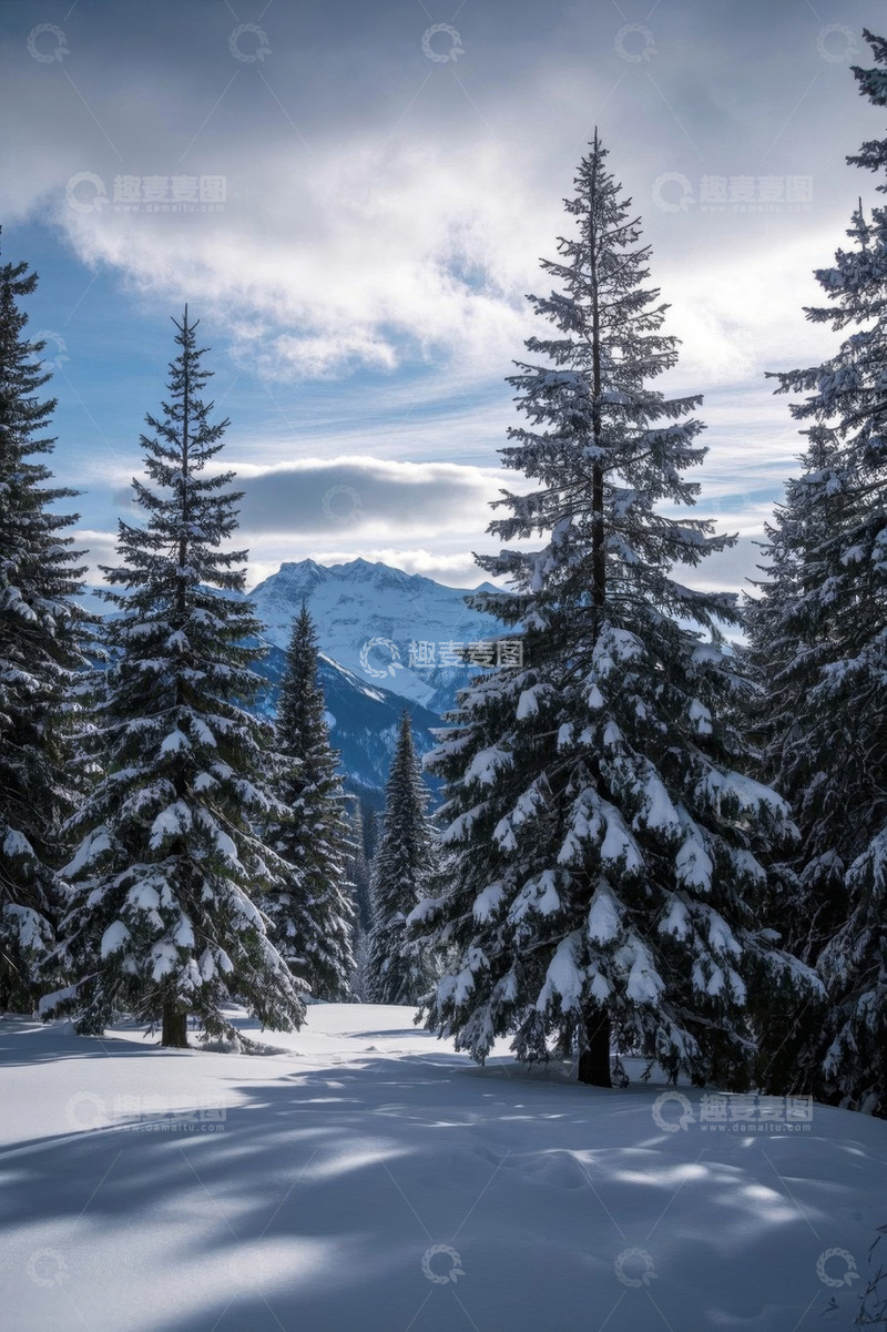 高清大图下载【趣麦麦图】雪后森林与远处雪山景观