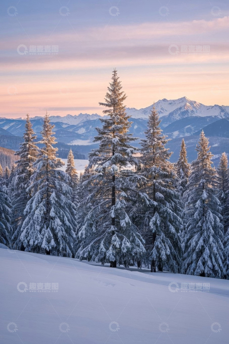 高清大图下载【趣麦麦图】雪后山林与远处雪山景观