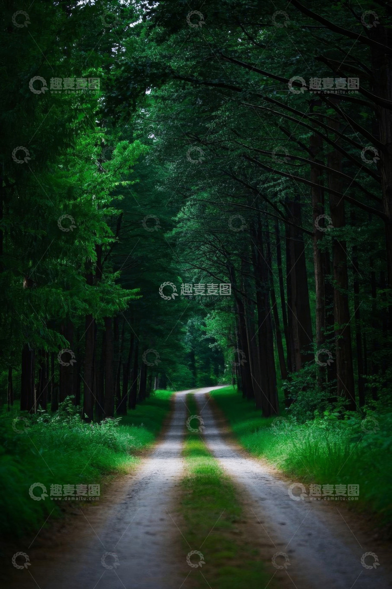 高清大图下载【趣麦麦图】森林中的蜿蜒小路