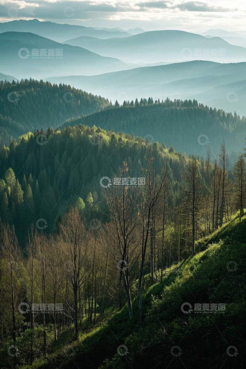 高清大图下载【趣麦麦图】山林全景自然风光